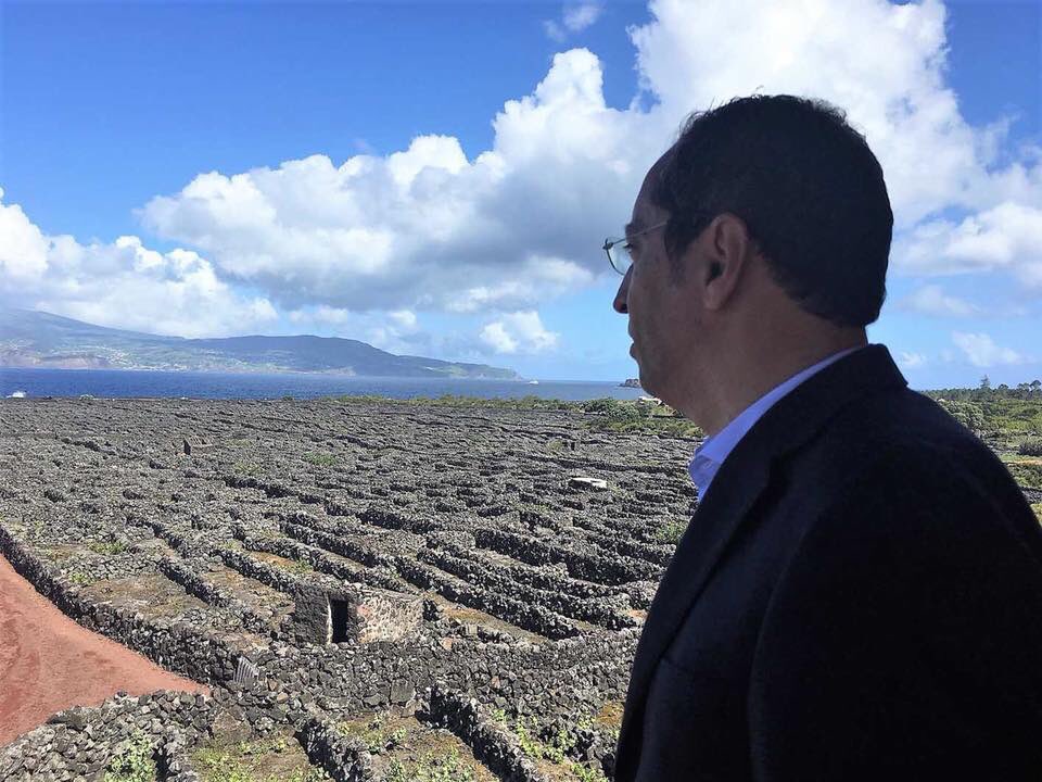 jafponte's tweet photo. Anunciei hoje um apoio suplementar, do Orçamento Regional, à Ajuda à Manutenção da Vinha, orientada para a produção de vinhos DO e vinhos IG, para dar resposta ao crescimento das superfícies plantadas. https://t.co/8N8Os2zNC6 https://t.co/tZBpqoH3gZ