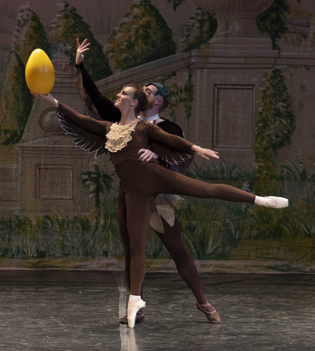 DancePrism's tweet image. Mr. &amp;amp; Mrs. Mallard can't wait for their eggs to hatch! VARIATIONS ON MAKE WAY FOR DUCKLINGS #DPDucklings #1ShowLeft [Photo by Warren Bailey] @MHTucker