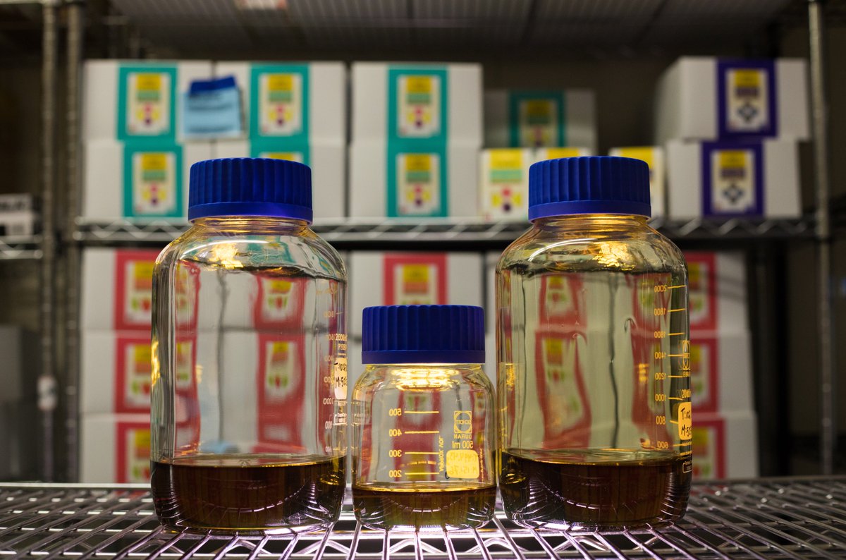 From distillate to Fruit Chews. 😋💛 #getgoldenoil #staygolden