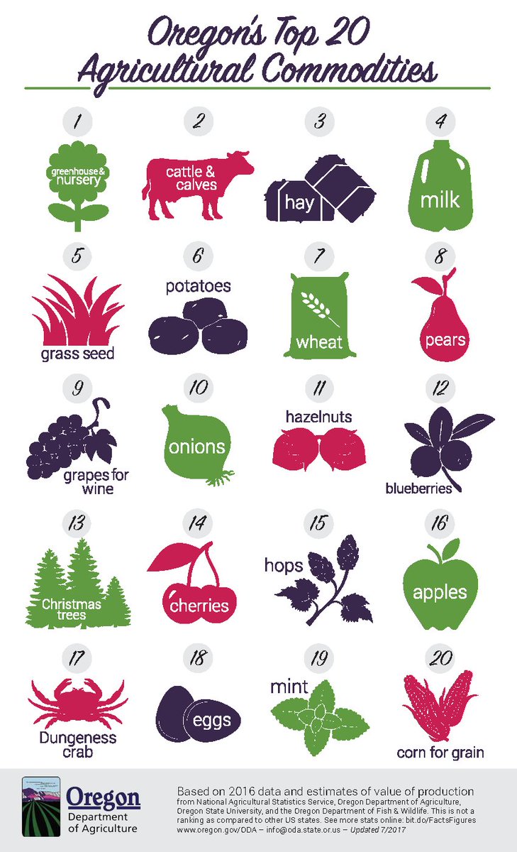 NackleyLab's tweet photo. @ORagriculture #FunFactFriday not even #20 in Oregon. #Nursery #1. ๐ค๐ณ๐บ๐น๐๐ท๐
Favorite berry? All of the above. #blessed to have @berriesGood4U #OregonStateExt Wei Yang, & #USDA Chad Finn and the hard working OR berry growers who make Pacific Wonderland that much sweeter๐ #oregonstate https://t.co/BifZLzU1m5