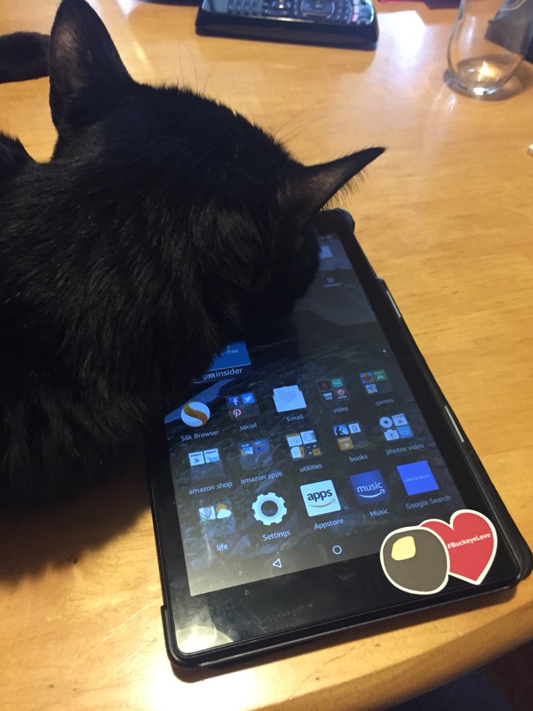 ThingsMyCatAte's tweet photo. The human wasn’t paying enough attention to me. She was paying attention to the twitters and the @Indians weather delay. I decided to close it for her &amp; take a nap. Now, she has to pay attention to me. https://t.co/yu3vHJAznS