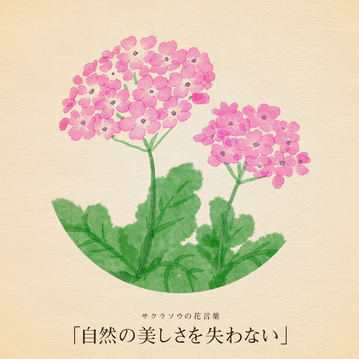 はな言葉 新刊出ました きょう4月28日は 労働安全衛生世界デー サンフランシスコ講和記念日 ドイツワインの日 缶ジュース発売記念日 象の日 シニアーズデイ 庭の日 誕生花はサクラソウ 花言葉 自然の美しさを失わない はな言葉 新刊出ました きょう4月28日は 労働安全衛生世界デー サンフランシスコ講和記念日 ドイツワインの日 缶ジュース発売記念日 象の日 シニアーズデイ 庭の日 誕生花はサクラソウ 花言葉 自然の美しさを失わない