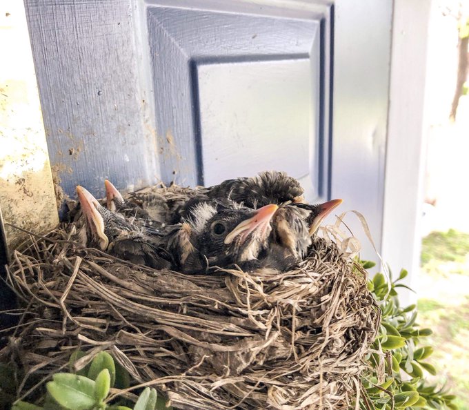 Where I&rsquo;m staying in Louisville, there is a wreath on the front door. And on top of that wreath, is this<a href="/tag/londonpride"class="tags"><span>#londonpride</span></a>