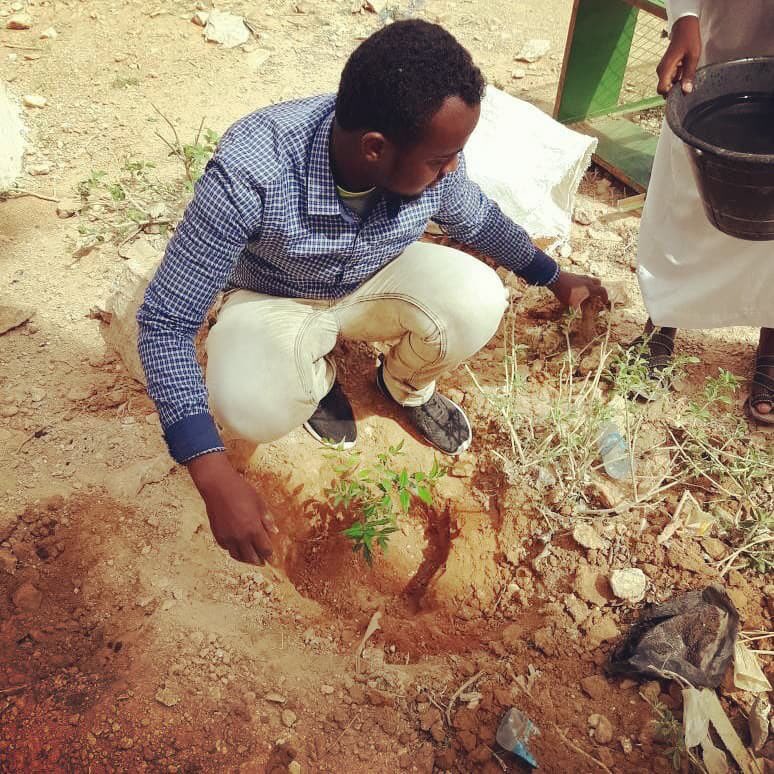 GeedBeer's tweet photo. Planting event,Lascaanood 27.04.2018.We would like to thank all who participated in the planting event.Our volunteers planted 12trees.We would like to sincerely thank the anonymous donor from the UK for their very generous donation towards the cost of the tree guards and trees https://t.co/YeK2H6Hi50