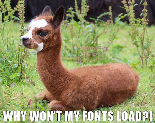 FIDMeLearning's tweet photo. Don't be like the shady alpaca! Package your files!  #FIDMMidterms are right around the corner.  Study hard and make backups of everything! https://t.co/vp3TgAqdbZ