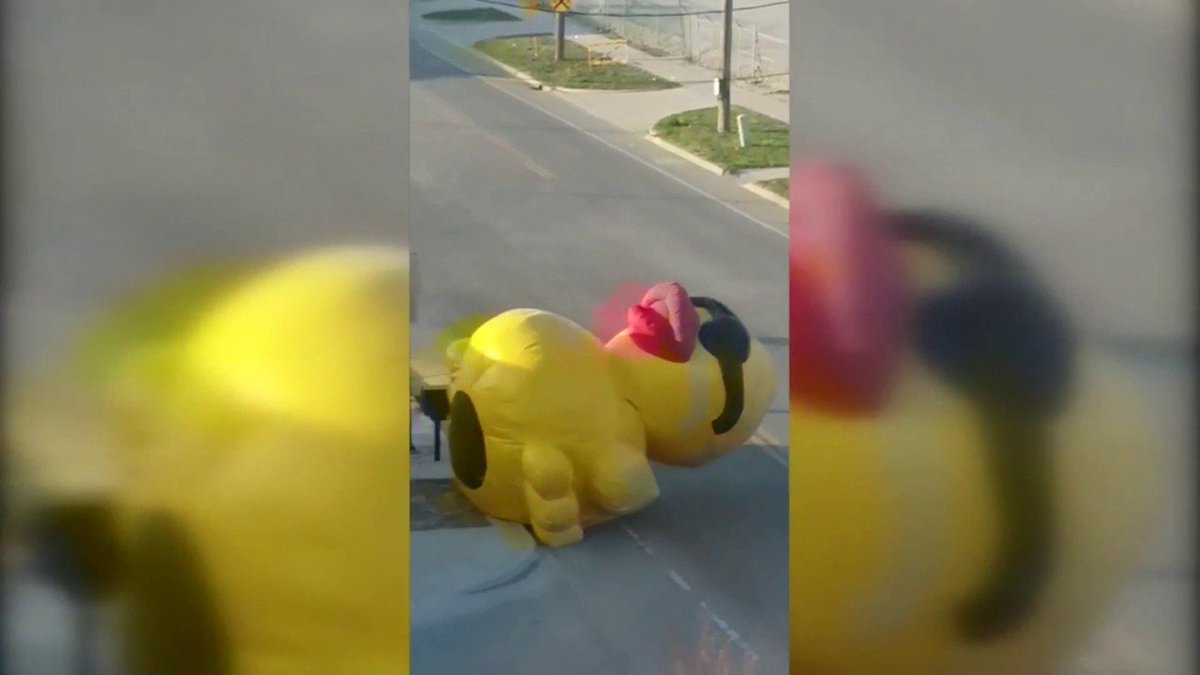 Watch giant yellow duck roll down the street bit.ly/2HUZSQt?utm_so… https://t.co/QbFDi9XupS