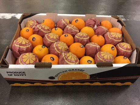 AranciaRossa_IG's tweet image. L'Egitto sta iniziando a diventare un attore serio nel mercato degli agrumi. Panoramica sull'andamento stagionale
#Egypt #citrus
#citrusmarket freshplaza.com/article/193522…