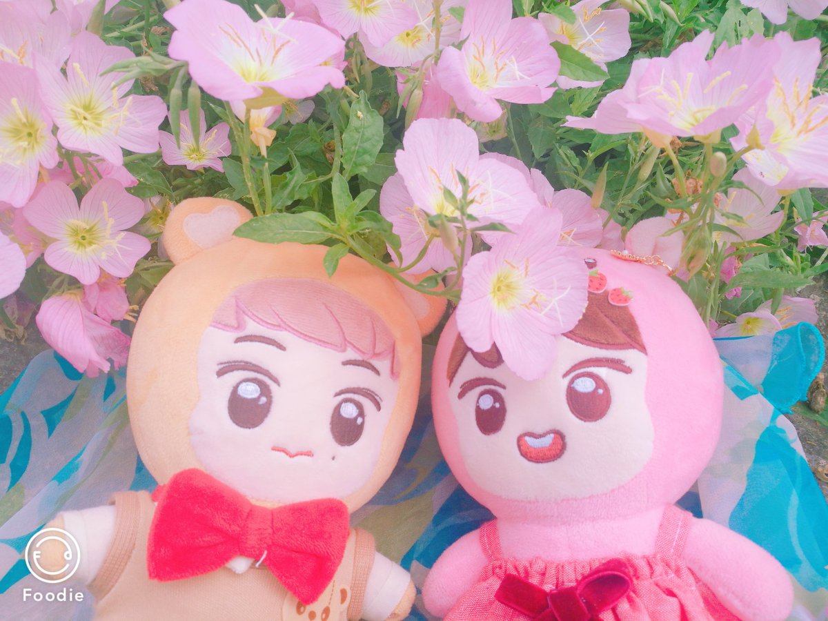 coldsummer0606's tweet photo. #Markhyuck #markchan
#맠라이언 #marklion
#해뽀 #haeppo
Young and beautiful.
🌻🌹💐🍃🌷 https://t.co/BRblgln7gt