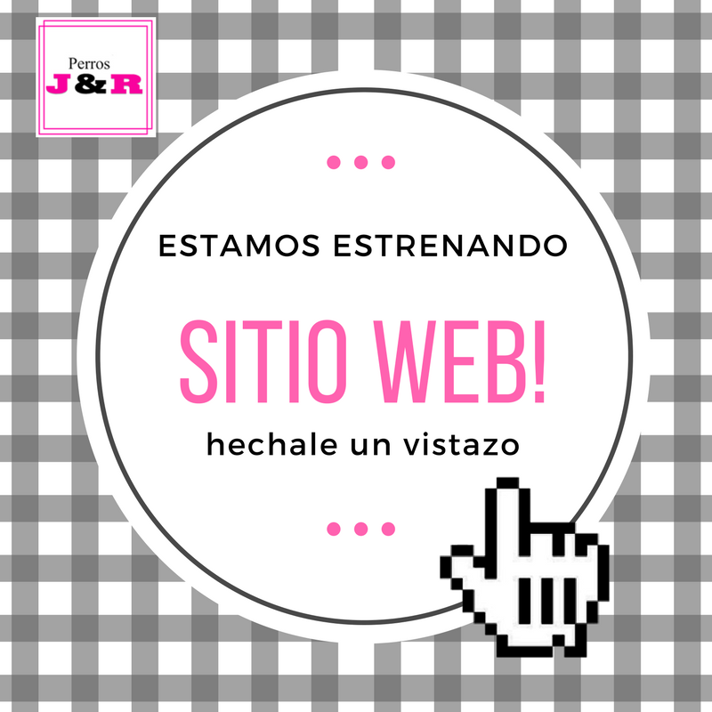 perrosjyr's tweet photo. Estamos estrenando sitio web! hechale un vistazo, queremos brindarte siempre el mejor servicio. https://t.co/wlNJdpiwiV
https://t.co/wlNJdpiwiV
https://t.co/wlNJdpiwiV
https://t.co/wlNJdpiwiV https://t.co/vdUEqWln5Z