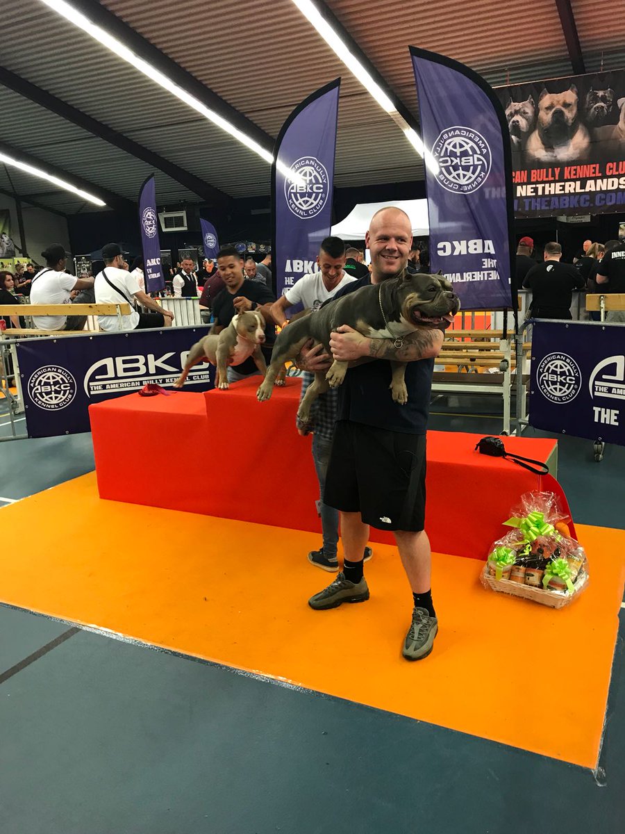 TheAbkc's tweet image. That #abkc bully life #theabkc