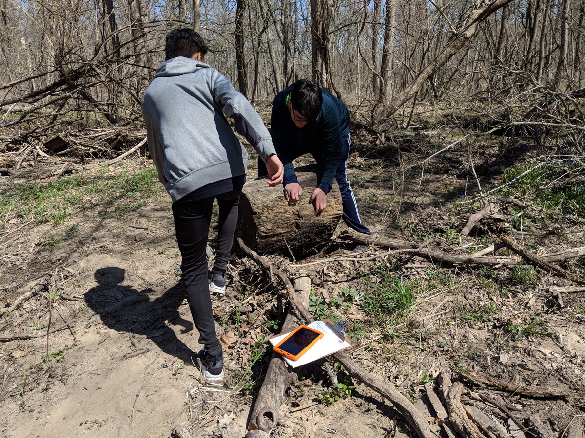 dbild's tweet photo. Awsm 1st day of #CityNatureChallenge Chicago bioblitzing w/ @ACEROSCHOOLS Tamayo Elementary as part of the @NatureMuseum @forestservice IP Rivers prog. Cc: @citnatchallenge @inaturalist https://t.co/Jr2ktwIc24 https://t.co/EO1TVGE8BR