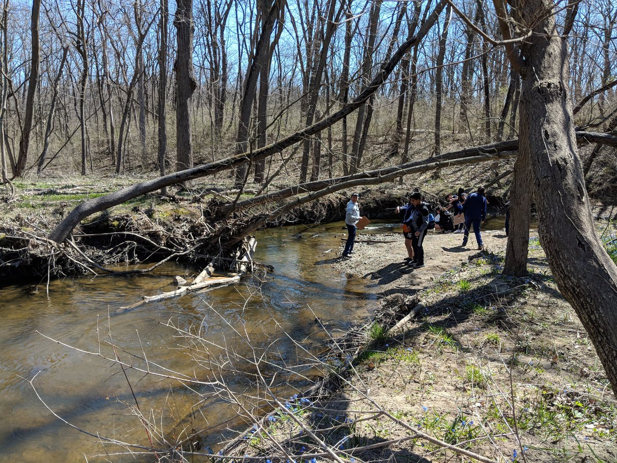 Awsm 1st day of #CityNatureChallenge Chicago bioblitzing w/ <a href="/ACEROSCHOOLS/">Acero Schools</a> Tamayo Elementary as part of the <a href="/NatureMuseum/">Peggy Notebaert Nature Museum</a> <a href="/forestservice/">USDA Forest Service</a> IP Rivers prog. Cc: @citnatchallenge <a href="/inaturalist/">iNaturalist</a> inaturalist.org/projects/city-…