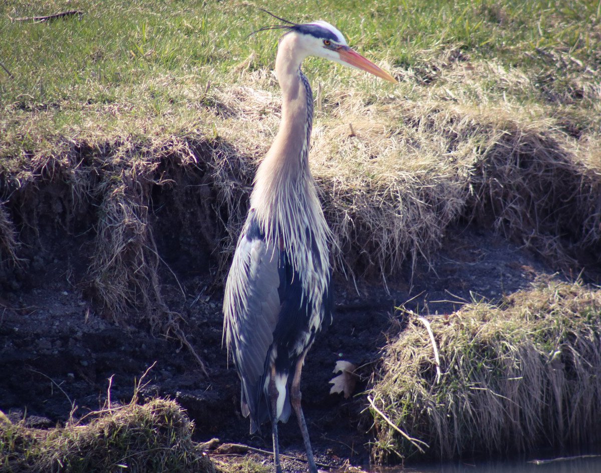We had a fantastic walk last Saturday with over 20 people joining us! Stay tuned for info on our next walk. #LivingCK #ckont <a href="/HikeOntario/">Hike Ontario</a> <a href="/ontrails/">Ontario Trails</a>