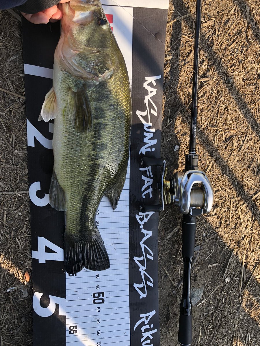 ポイズンアドレナ1610m