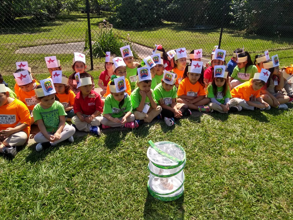ptrujill1's tweet photo. Our students were ready to say goodbye to our butterflies. @brodserrano @MHill_HISD @educatorsimpact @SuttonES_HISD https://t.co/ssM7EAAHju