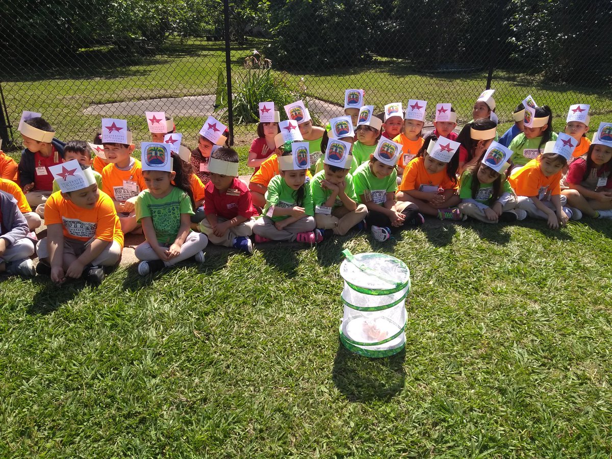 ptrujill1's tweet photo. Our students were ready to say goodbye to our butterflies. @brodserrano @MHill_HISD @educatorsimpact @SuttonES_HISD https://t.co/ssM7EAAHju