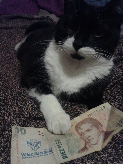 ValAbnormal's tweet photo. Creo que ella también se pregunta por qué este billete tiene el sello de Vélez. #miterio https://t.co/5iwReqoTYI