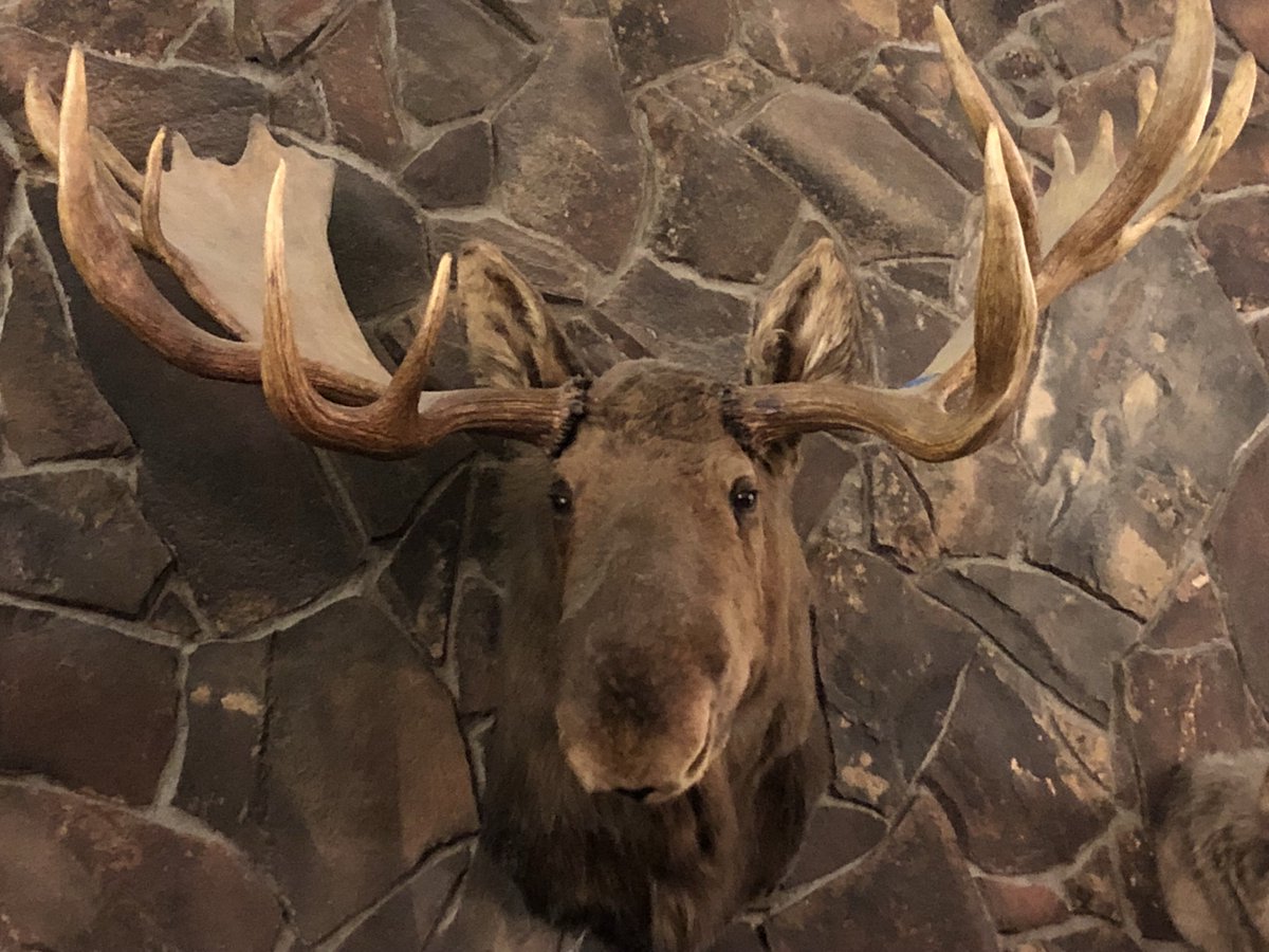 VLKInc's tweet image. The Cargo Screening K-9 Alliance is in Alaska. We’re ready to take on “the last frontier”.