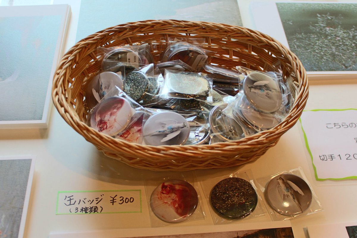 高崎市 على تويتر 水野暁展販売グッズ 2 開催中の水野暁展関連グッズ 缶バッジの取り扱いが始まりました 全3種類 是非ショップでご覧ください T Co 2rweu17x5i 市美術館 水野暁 高崎市美術館