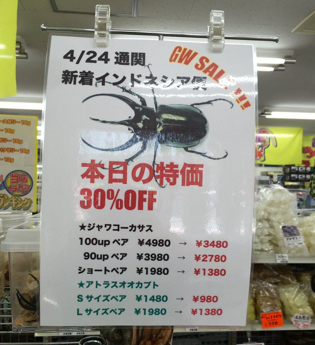almon　 ランバージャック9.4ゴールデンウィークまで値段下げます GWセール 4/28〜5/6】 セール初日 11時からのOPENです。 たくさんの