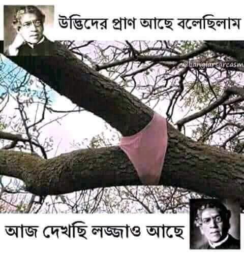 D5KI5HABAifcppP's tweet image. 