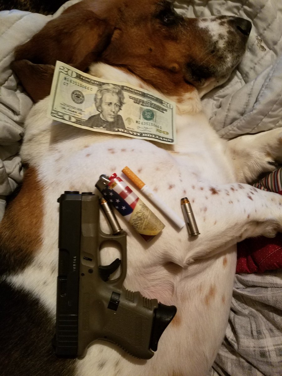 ColtsGal74's tweet photo. @Sean_C_Larkin Best come get my Bassett, she's laying dirty.#LivePD https://t.co/KRuN74OuW2