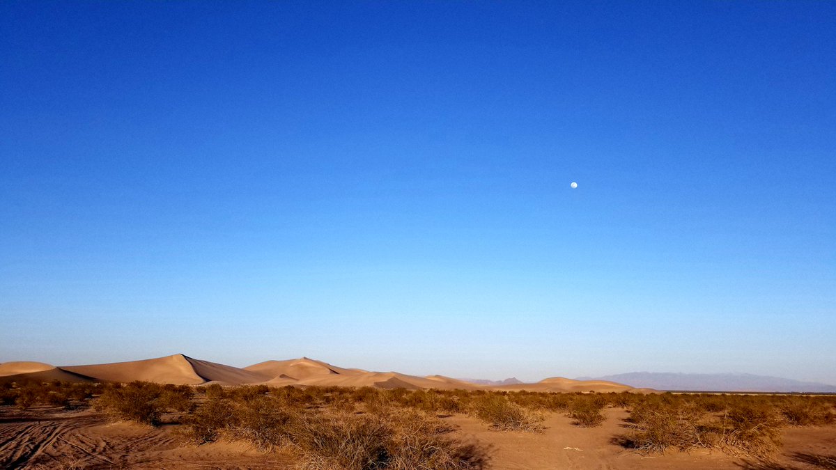 ADevotedYogi's tweet photo. the magic of the Amargosa Valley: #BigDune #Amargosa #Nevada (@ Big Dune in Amargosa Valley, NV) https://t.co/in0G3i70lX https://t.co/wZlIvdfqIE