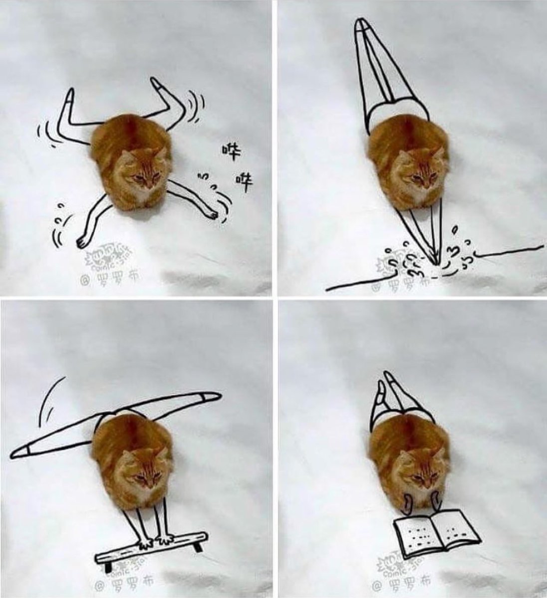 maoexe's tweet image. get you a man who can do it all