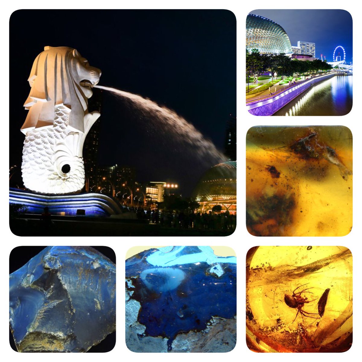 #Amber #BlueAmber 
#InnovationCreateEntrepreneurship