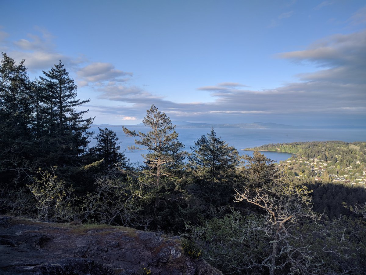 hazeloakbay's tweet photo. Great view from the top of @MountDougPark Irvine Trail tonight but we could see the change of weather coming in! #intraining #longrangetraverse #nfld @oakbayknitter @MurdochOakBay @tm96 @K_Kahakauwila @OakBayNews @ColinPlant2018 https://t.co/GQQuLknl4F