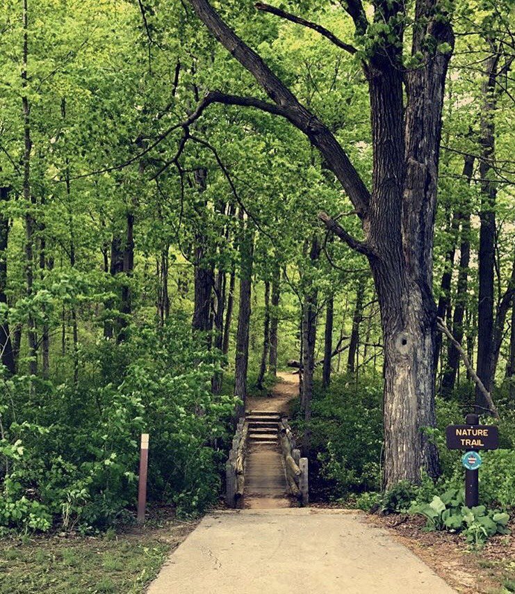 ParkPeople's tweet photo. Enjoy a long walk at a Milwaukee County Park!
#MyParkMyPlay #Hiking https://t.co/BBcYvh3cdk