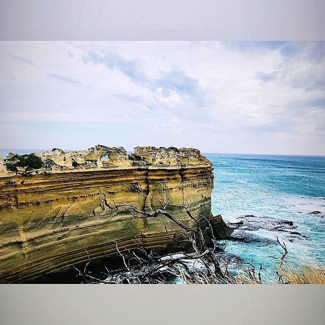 Reposting @melbaycorner:
New week , new goals !!!! #monday #love #beautiful #amazing #travel #traveler #travelblogger #traveldiaries #lanscape #seascape #beautifulday #beach #sea #igdaily #igersmelbourne #checkmelbourne #snapmelbourne #melbourne_insta #photooftheday #photography