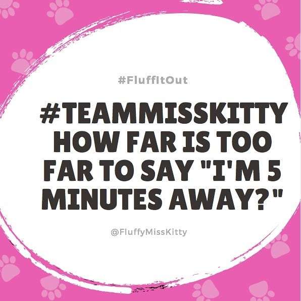 fluffymisskitty's tweet photo. Like seriously....talk to me lovelies
#FluffyItOut #FridayTalk #ThePeopleWantToKnow https://t.co/mYL4DEWVyU https://t.co/vw2HRj736J