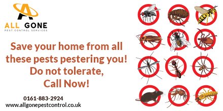 allgonepestctrl's tweet photo. Save your Manchester home from all these pests pestering you. Allgone is always ready to 
combat them. Call us.
#pestcontrol #pests #pestfree #allgonepestcontrol #manchesterpestcontrol #liverpool 
#warrington 
https://t.co/xhqBnB6kJ7 https://t.co/qPn0SOJtpi