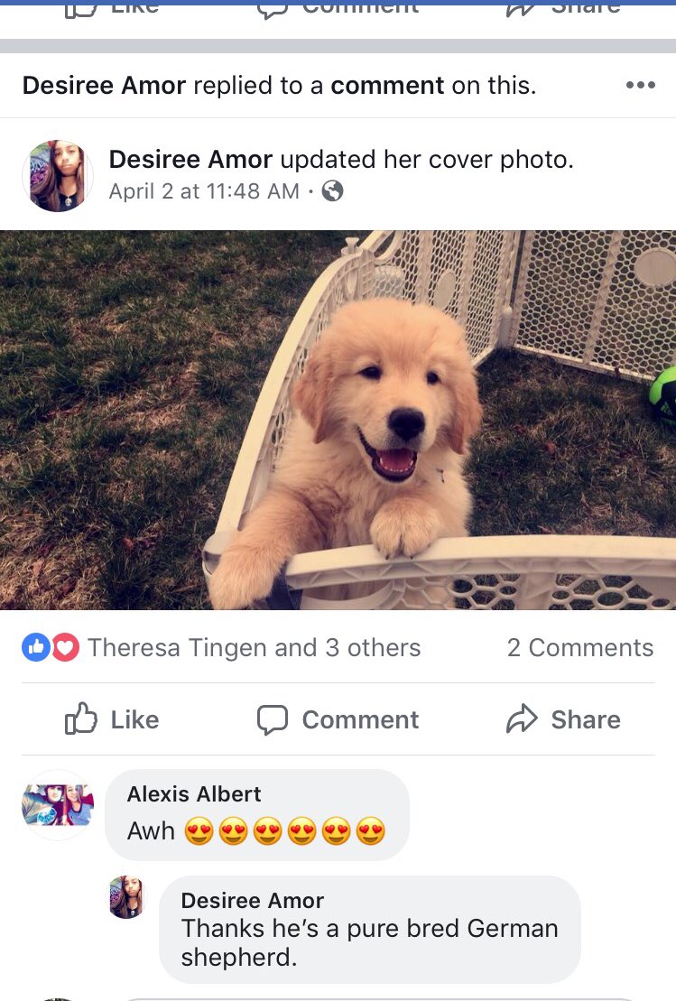 crillionaire's tweet image. 