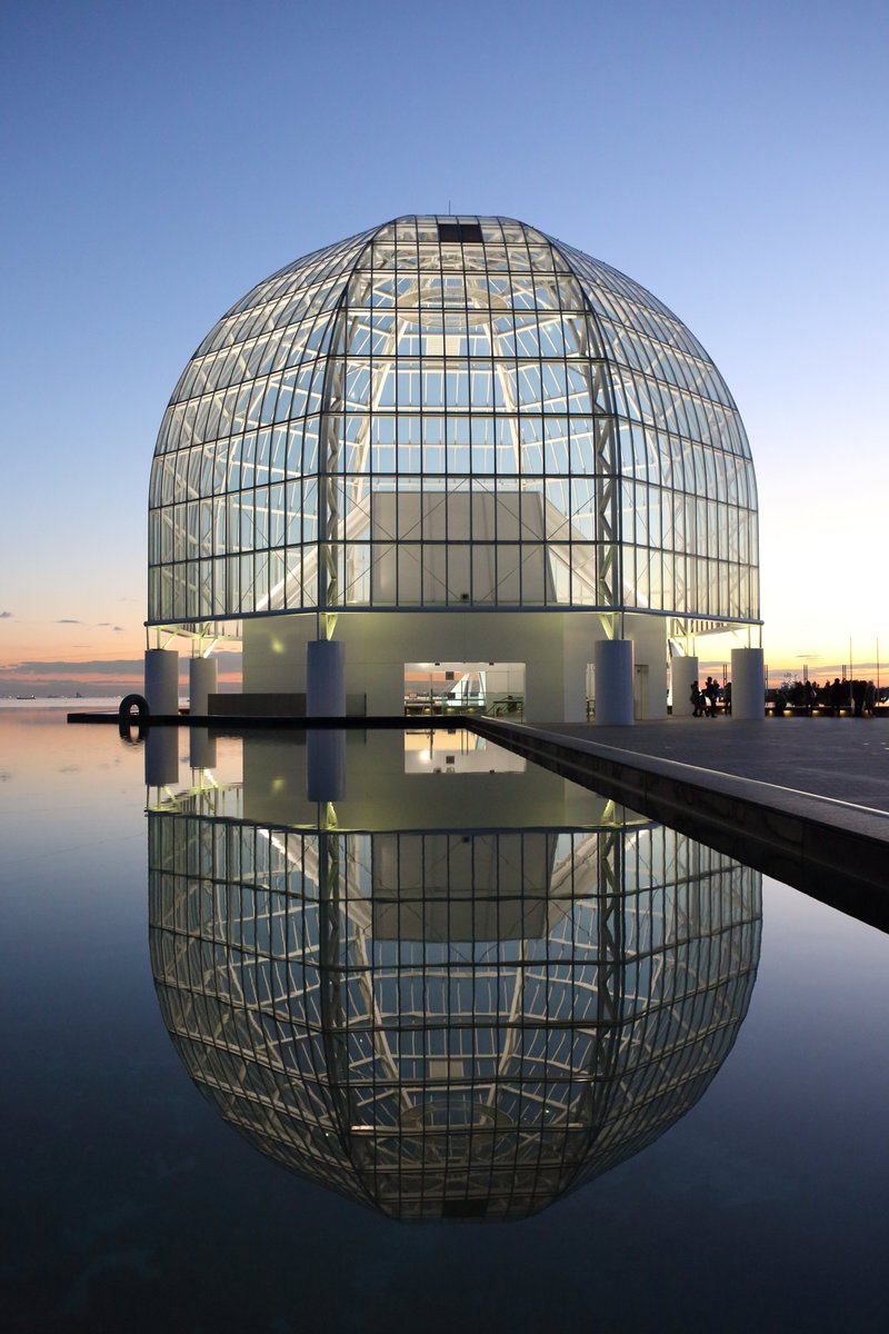 東京都内の水族館 安い順に 最安値を調査 リラウタ