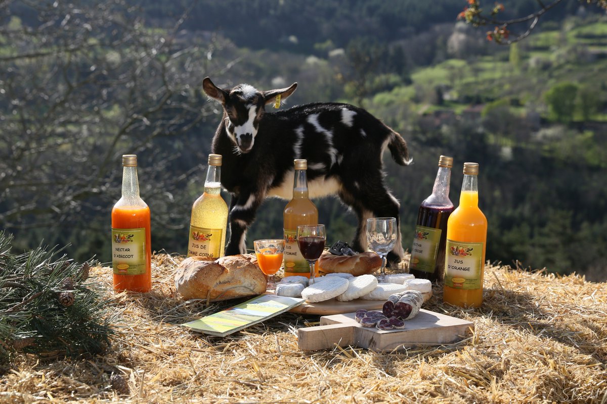 On a testé de <a href="/defermeenferme/">De Ferme en Ferme ®</a> 👌   bit.ly/2Kkte92   🐷🐮🍑🍷