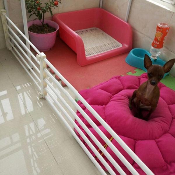 ShopDogsandcats's tweet photo. Do you want separate compartment your pets? We have high quality adjustable security barrier for your pet. You can buy this product to our online store. For further information you can visit online store.  #dogsarelove  #dogsofinstagram #dogs #pet #petlover #dogaccessories https://t.co/HFo2CdBufx