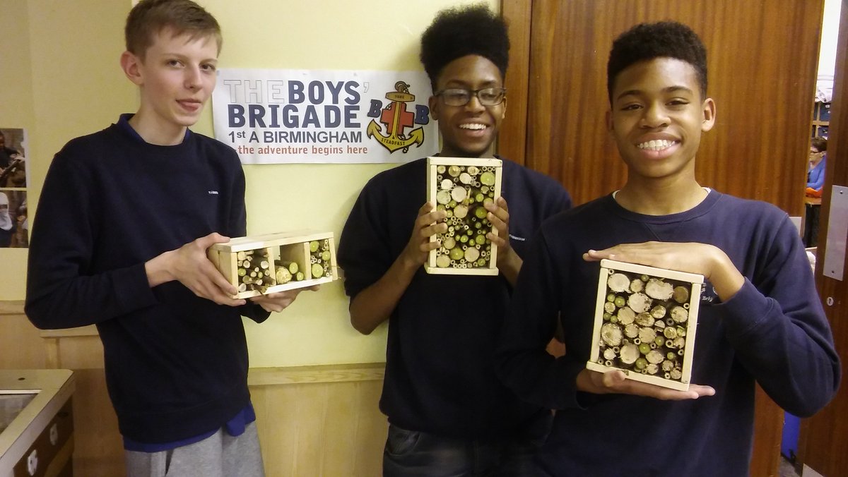 Insect houses finished at last.  Well done.