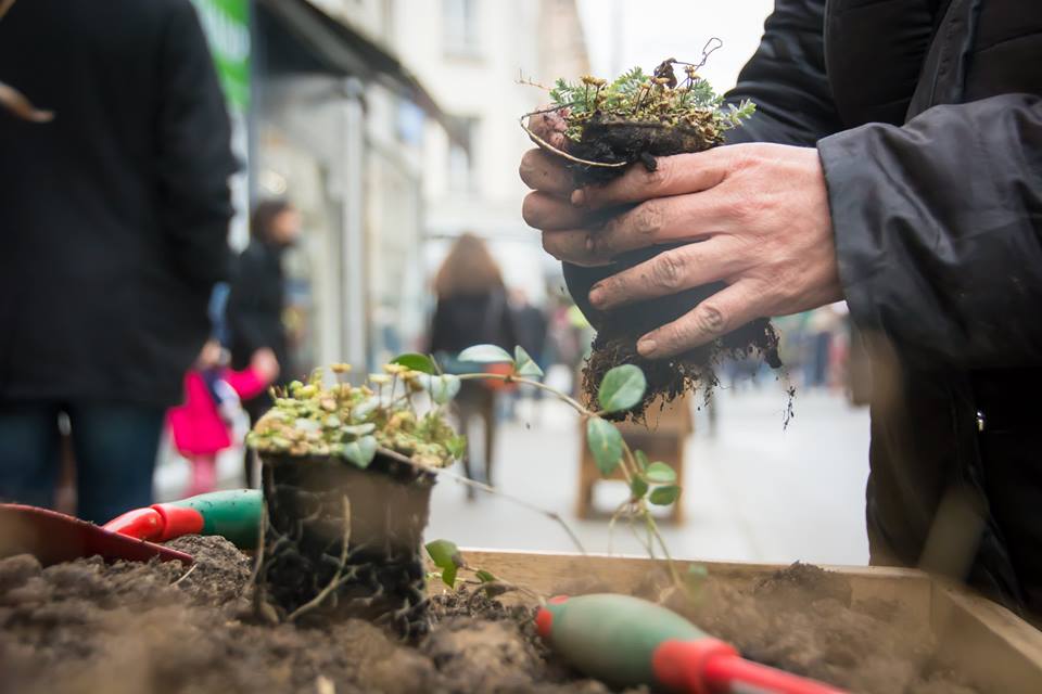 Rdv aujourd'hui de 15h00 à 17h00, rue Daguerre . pour une séance de plantations, organisé par Village Daguerre.
Crédits Photo : Arthur Distel