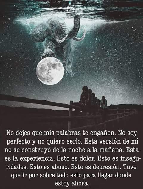 KartarDevi's tweet photo. Y me volví el elefante que anda en bicicleta en el cielo, sobre la luna. Así de fácil supero las broncas #ChingandoAndo https://t.co/8Zx7aIAgIO