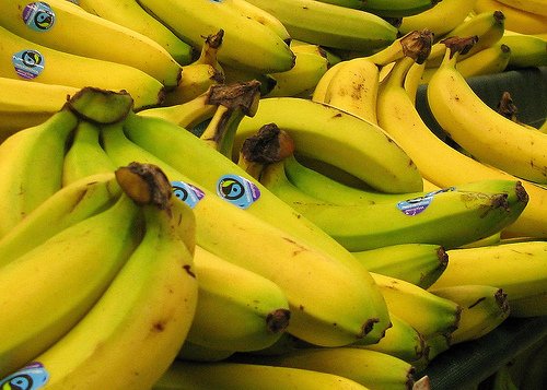GiantKendal's tweet photo. Bananas, jelly babies, flapjack? Doing a sportive or longer ride and not sure what to eat? Take a look at some top tips and advice. https://t.co/0GpP8KxzrI
@roadcc @bikeradar @TtlWomenCycling
#CafeStops #BeansOnToast #BikeFood #CyclingSnacks https://t.co/dMthLs2WdL