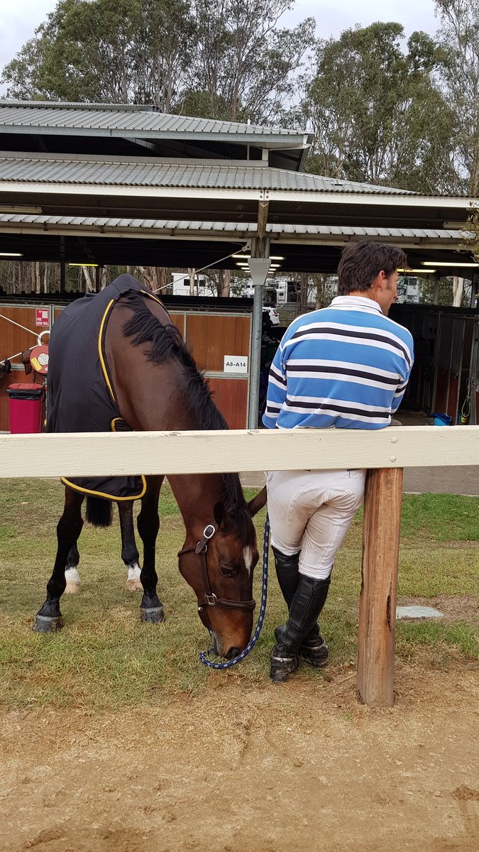 EquestrianAus's tweet photo. #SydHT |Cross country day is over for @Shane_M_Rose Time to relax for 🐴 ☘ #loveofthehorse https://t.co/8XRqPblwfZ