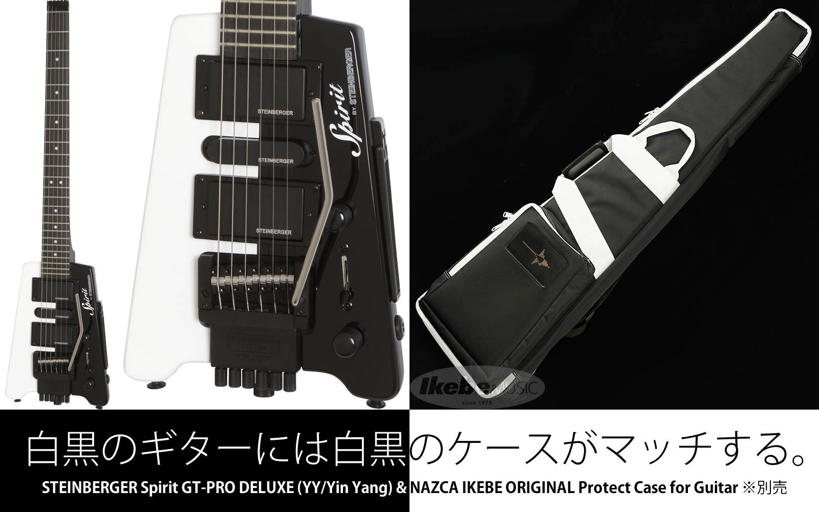 Steinberger spirit cheap yin yang