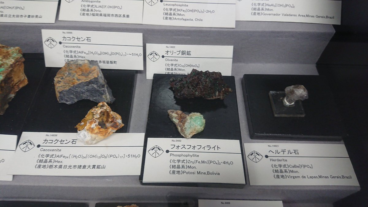 石好きなあなたに強く推薦秋田大学鉱業博物館 入館料特価100円 Togetter