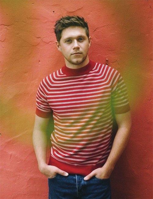 ohlouisheart's tweet photo. vcs já agradeceram hj por terem visão e poderem enxergar essa perfeição q é niall horan?? https://t.co/IHzDII9kTE