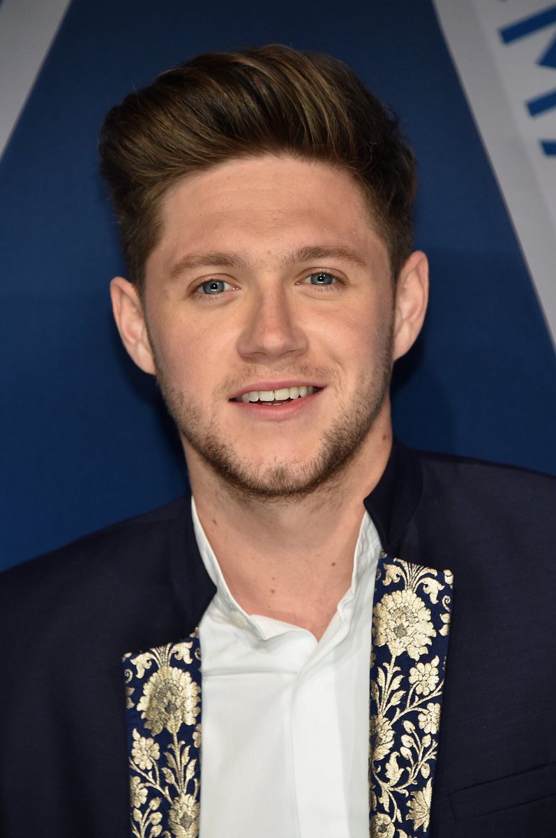 ohlouisheart's tweet photo. vcs já agradeceram hj por terem visão e poderem enxergar essa perfeição q é niall horan?? https://t.co/IHzDII9kTE