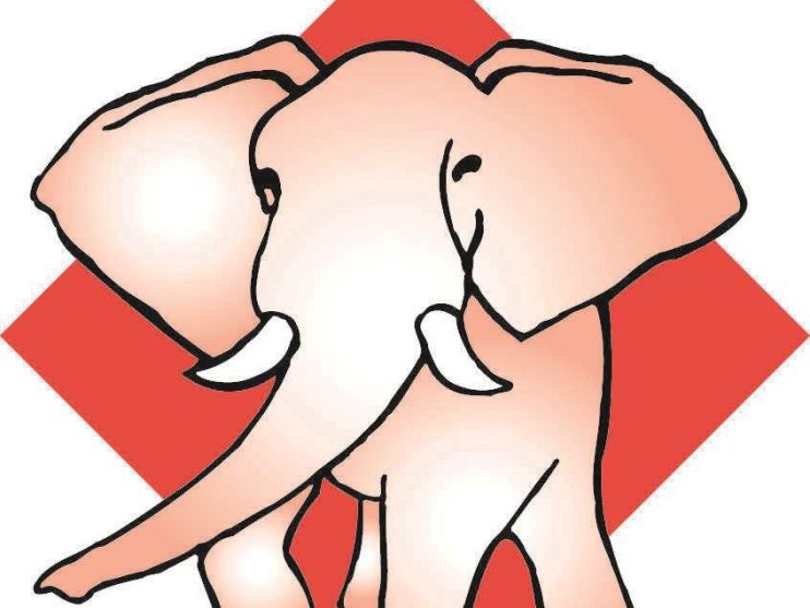 hdhaarlem's tweet photo. Even voorstellen: de vijf genomineerden voor kunstprijs De Olifant 2018 https://t.co/p3HgZLv1zV https://t.co/vTdjE8gTNt