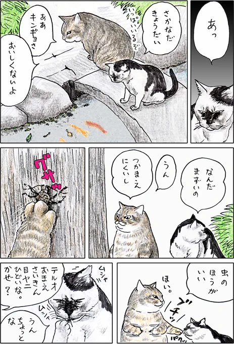 や、どうも。みなさん、俺の本についてあたたかいごせいえんやかんそうなどをどうもありがとうございますよ!というわけで、ちょっとあいだがあいちゃったけど、俺とテルオの旅のはなしを再開するよ。 
