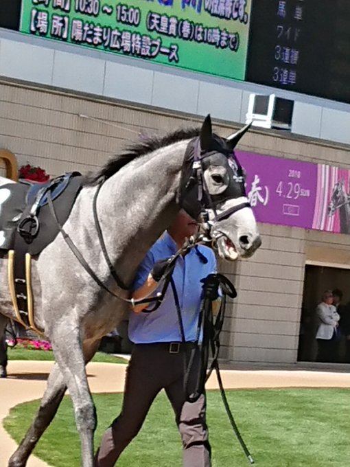 ぺんぎんさん Penguin66 18年04月 Page 2 Twilog